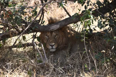 DSC_3568 (Large).JPG